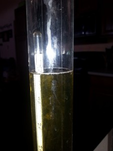 Potential alcohol reading on the hydrometer, 10/26/13.  There's not a whole lot of "potential" left.